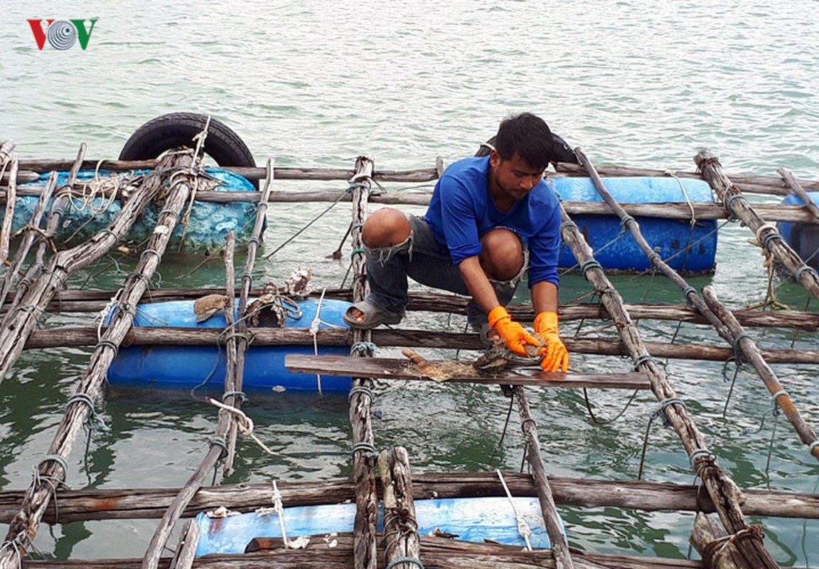 Soi &quot;de che&quot; nuoi trai lay ngoc o Thai Lan-Hinh-10